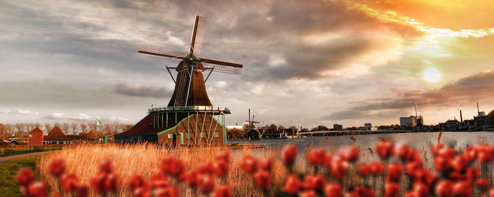 Football Player Celebration