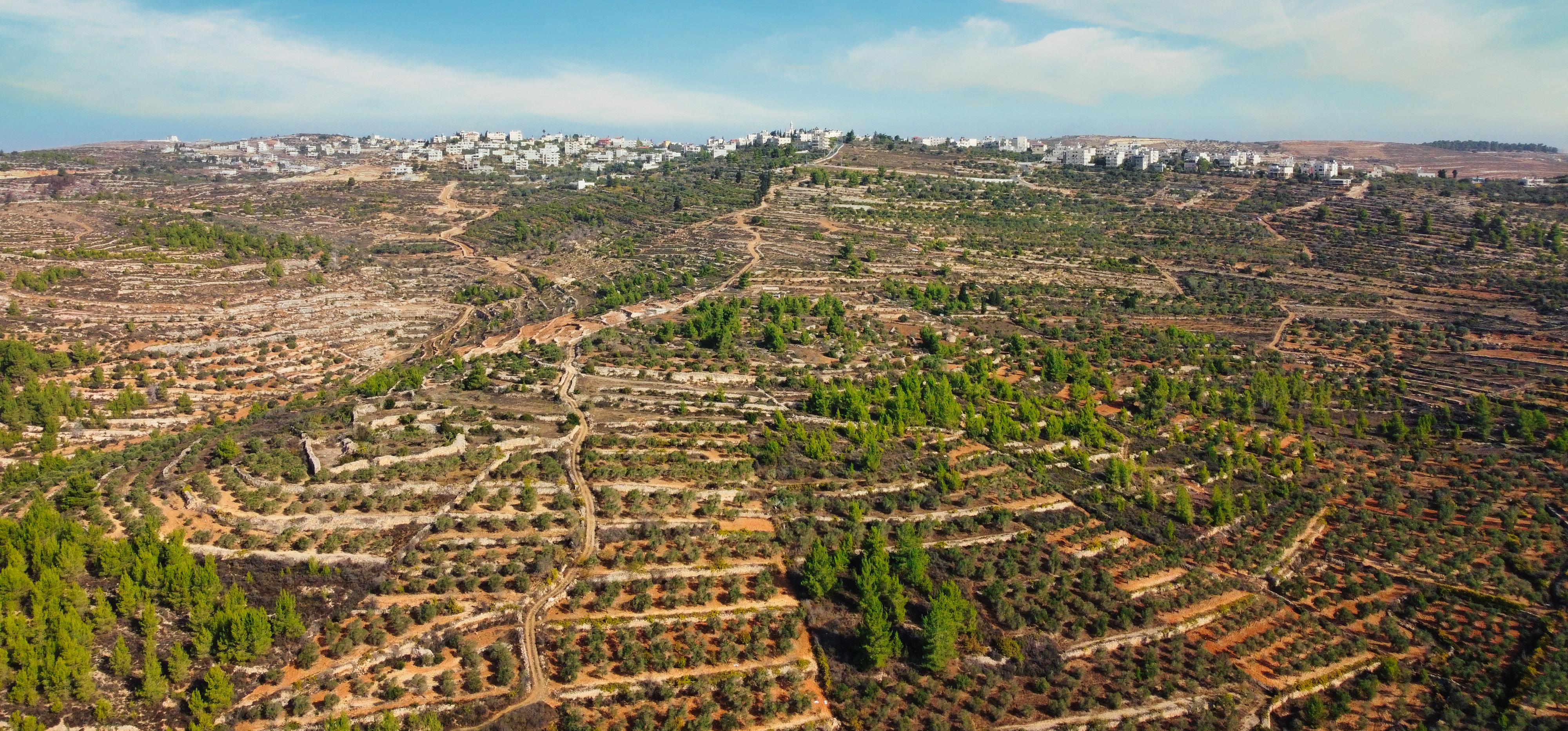 Palestine country image