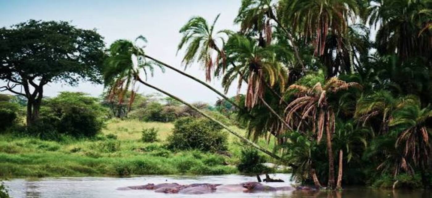 Gabon country image