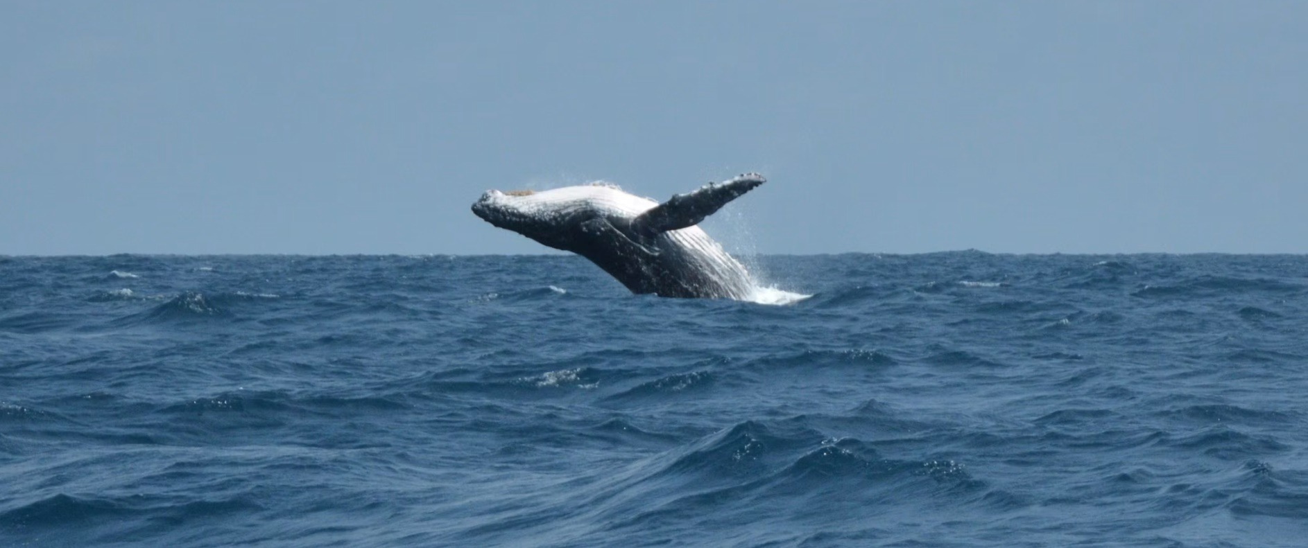 Gabon country image