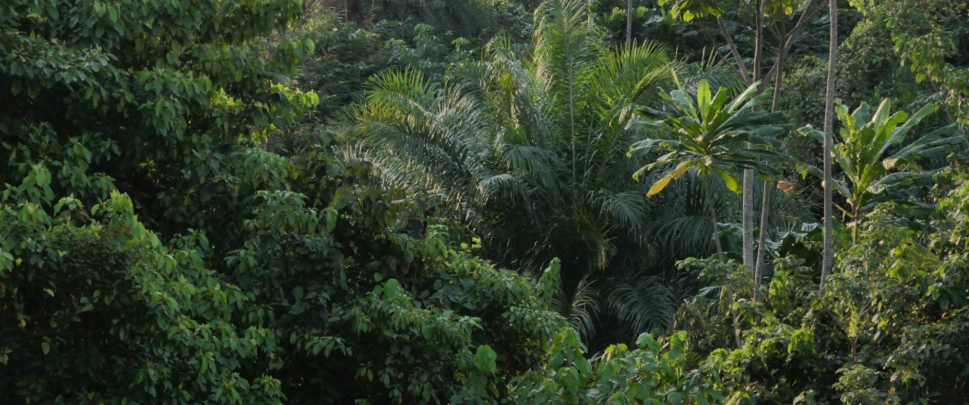 Gabon country image
