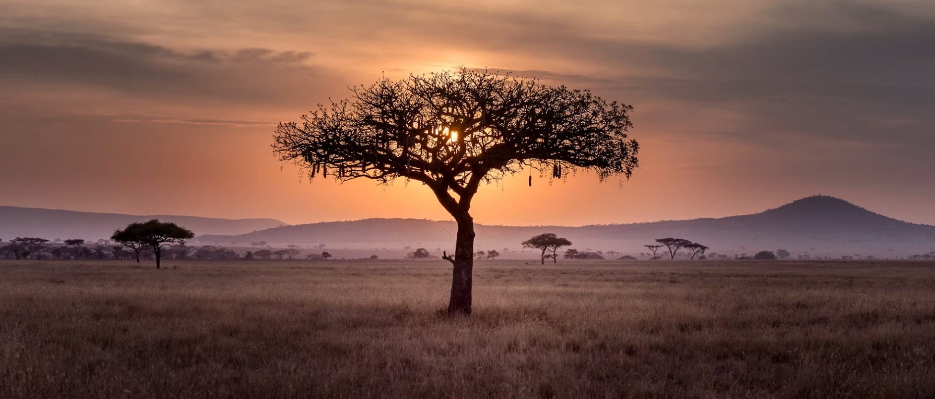 Congo DR country image