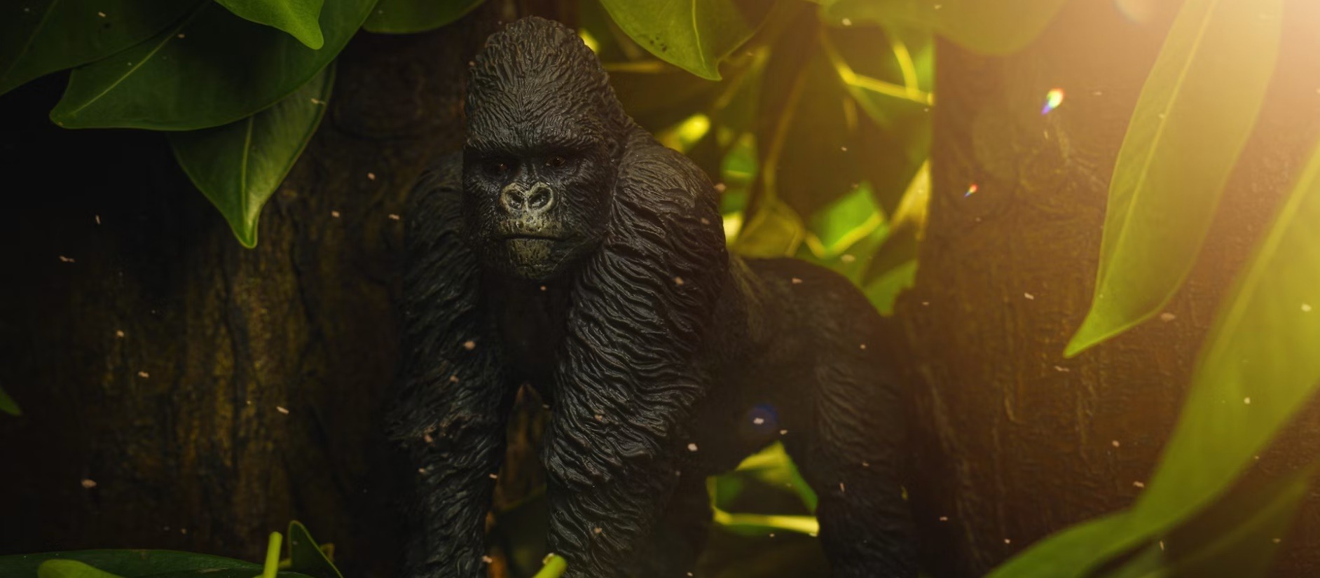 Congo country image
