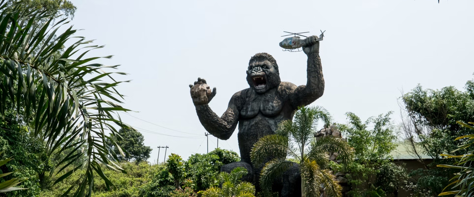 Hong K. country image
