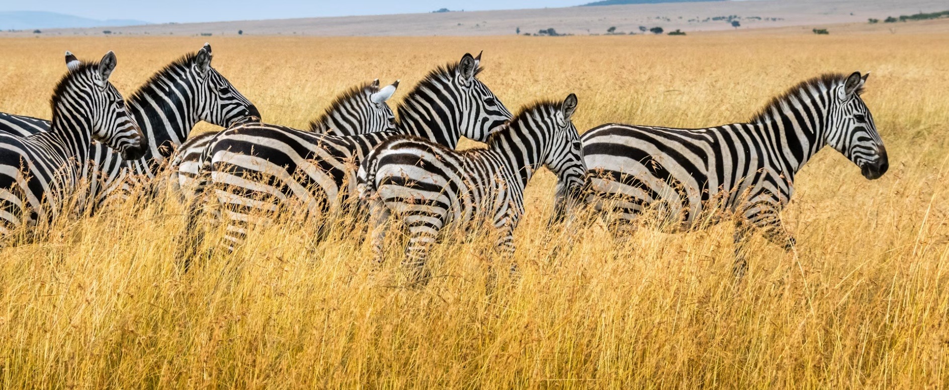 Kenya country image