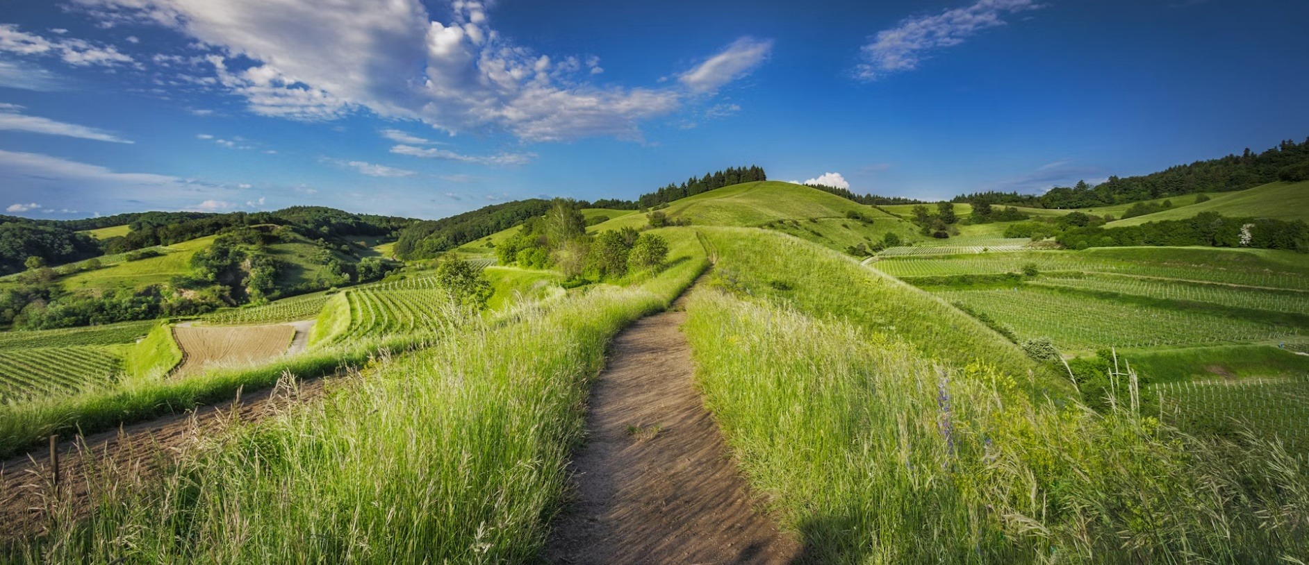 Germany country image