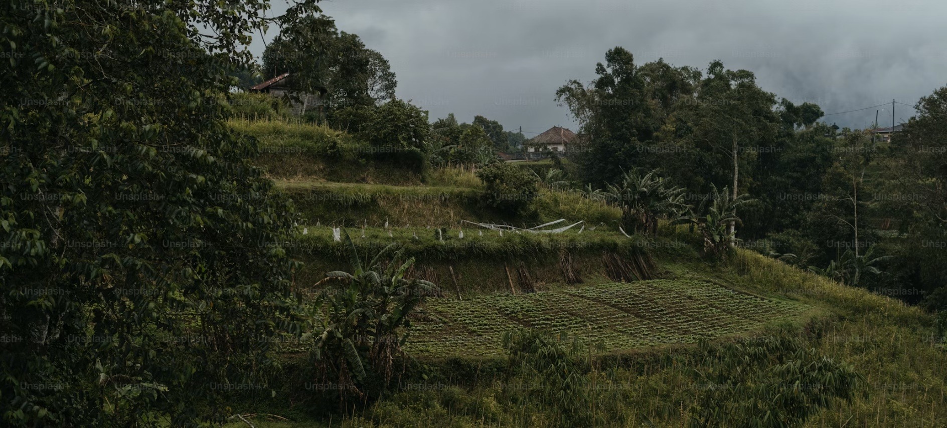Burundi country image
