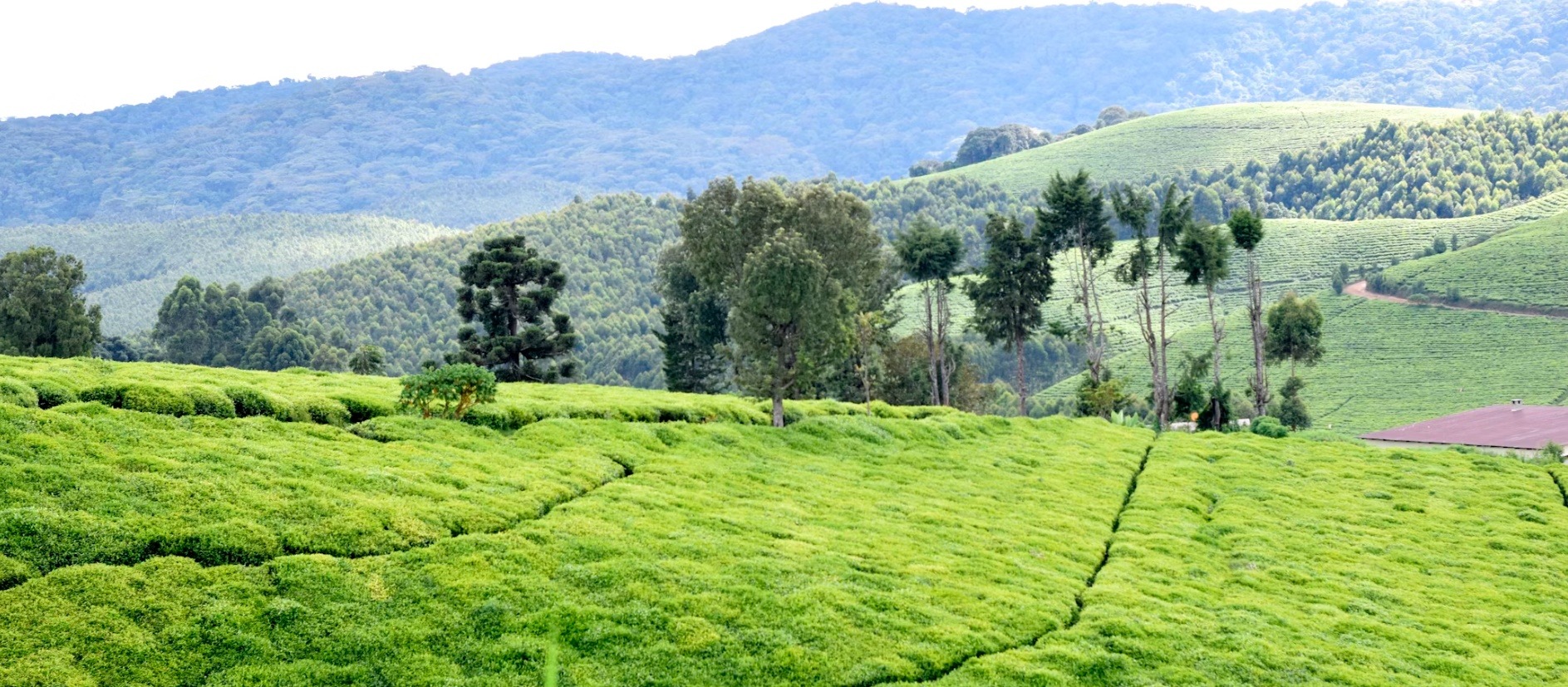Burundi country image