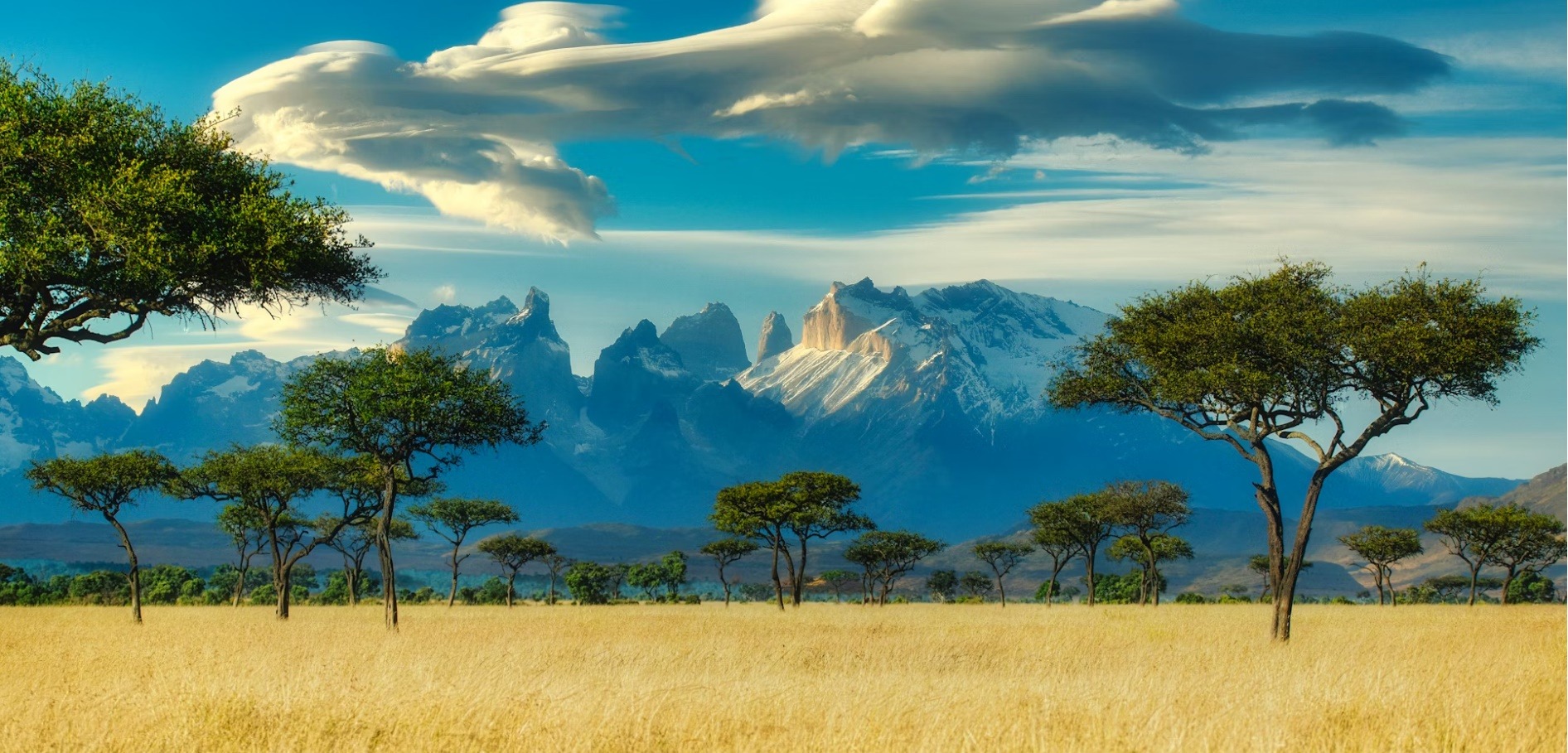 African U. country image
