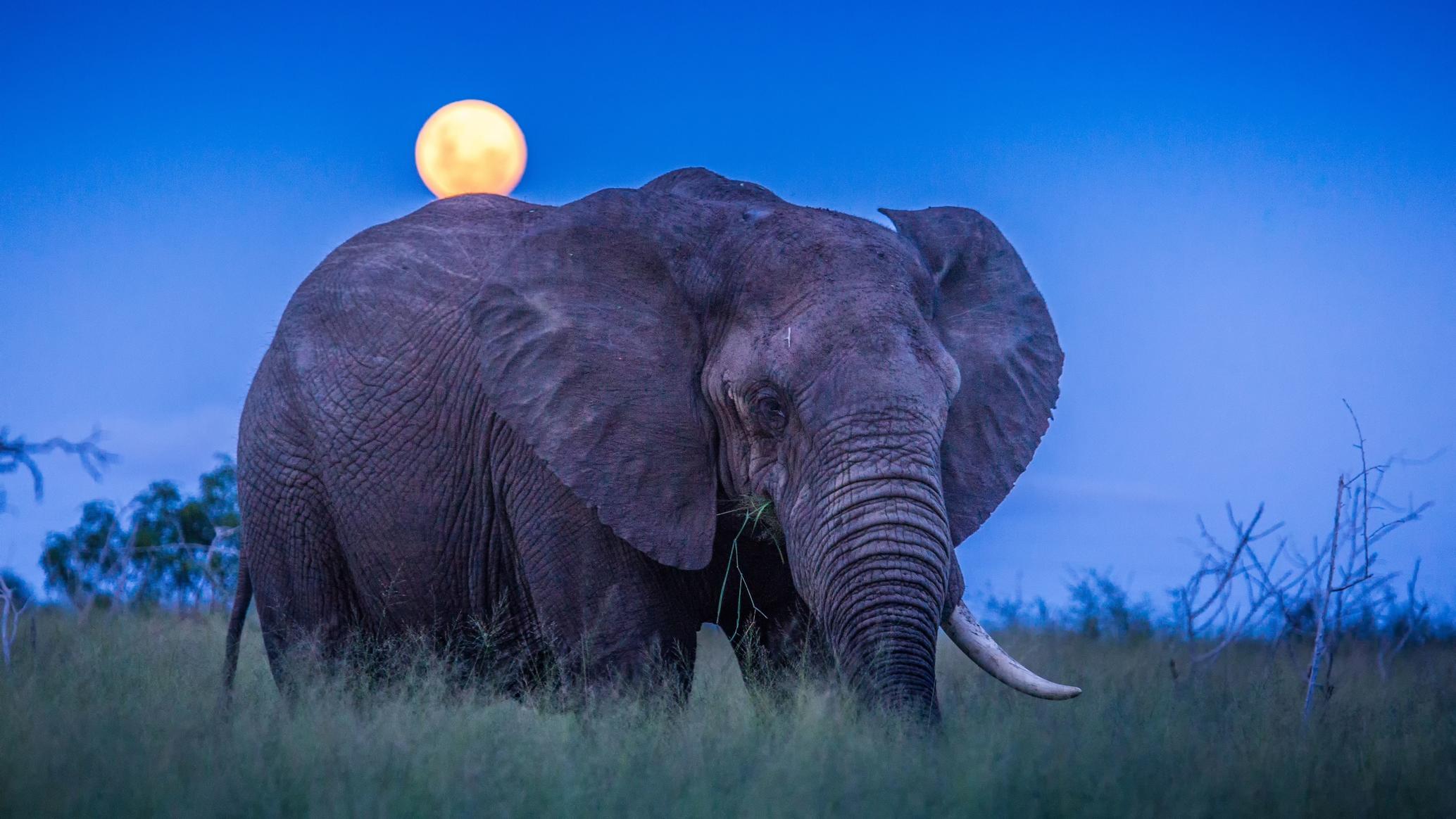 Swaziland country image