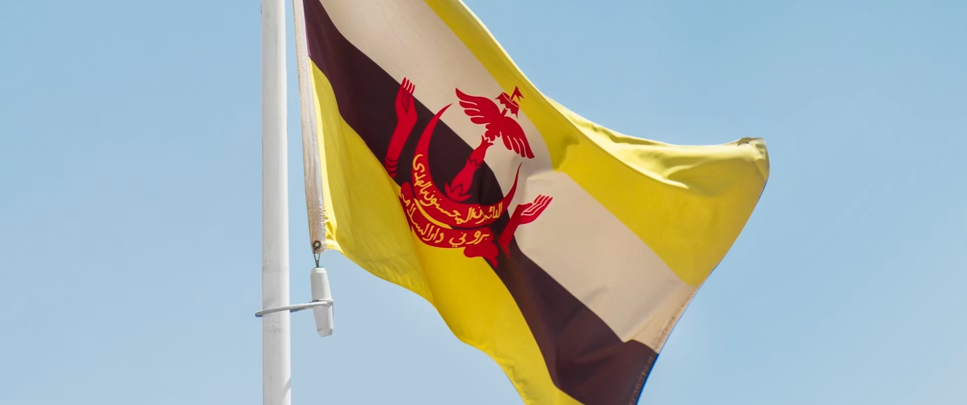 Brunei D. country image