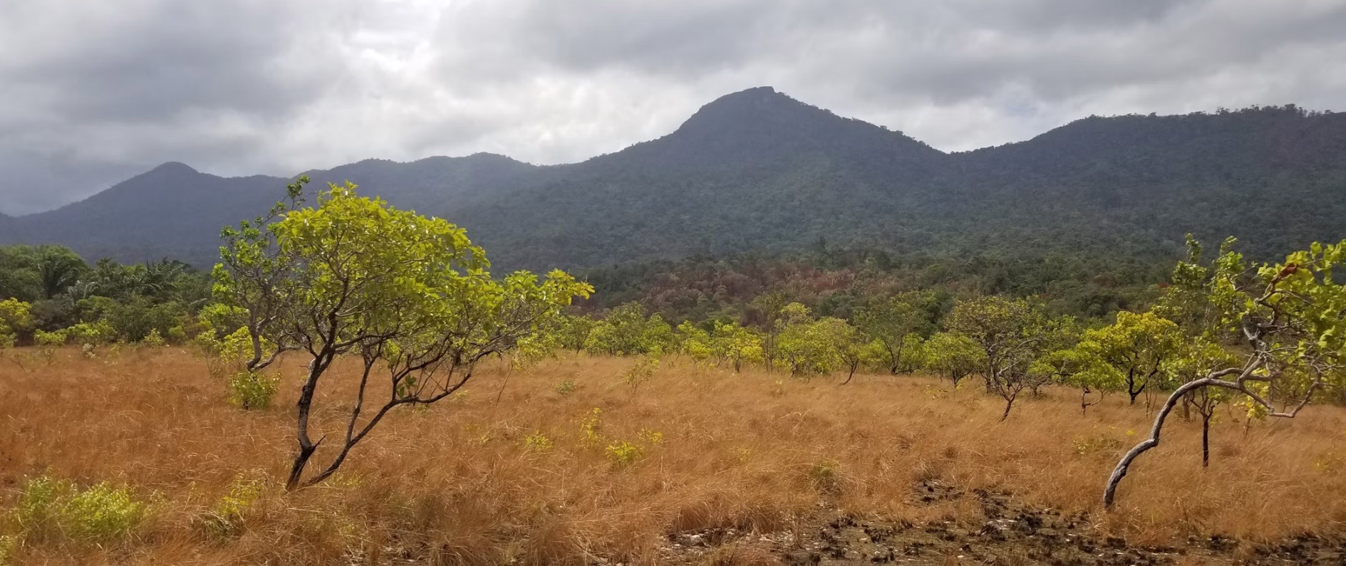 Guyana country image
