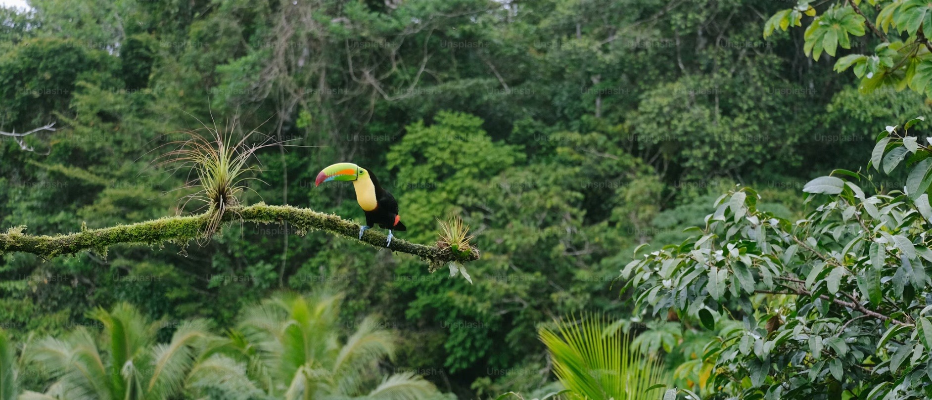 Guyana country image