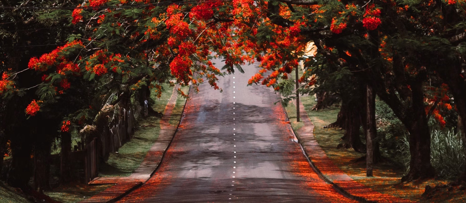 Fiji country image