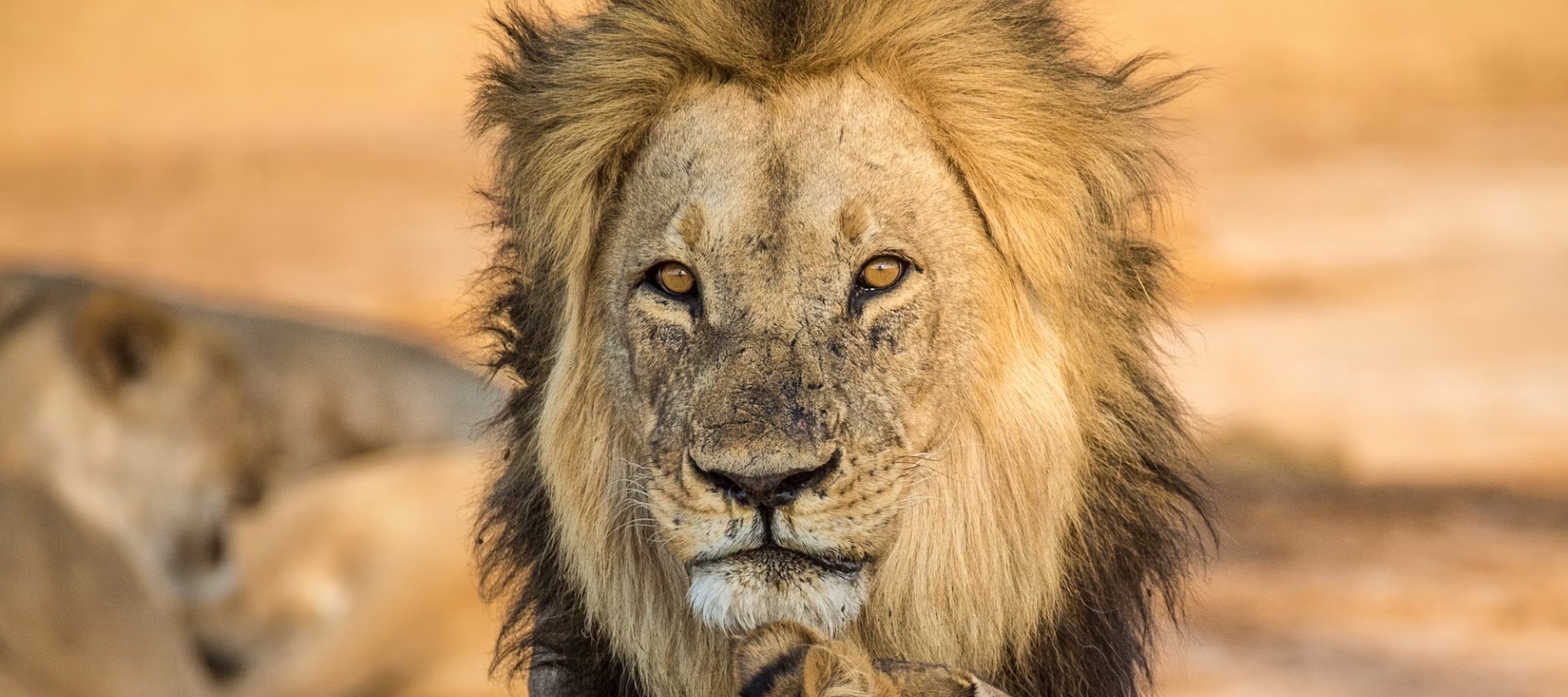 Botswana country image