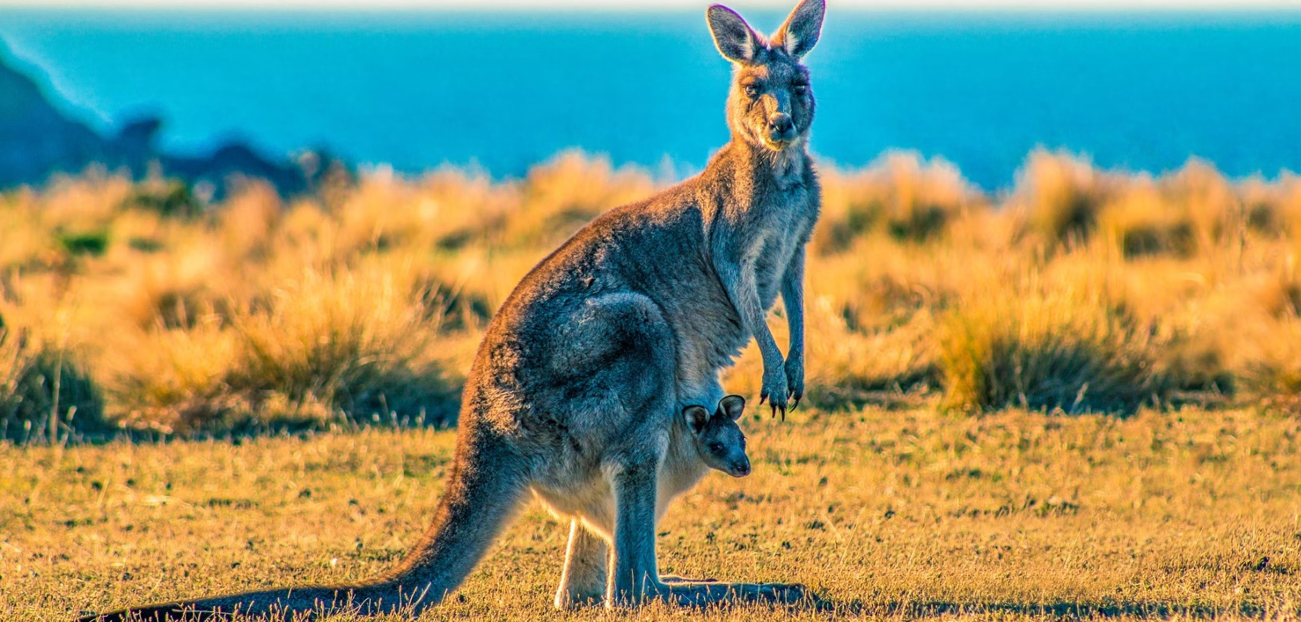 Australia country image