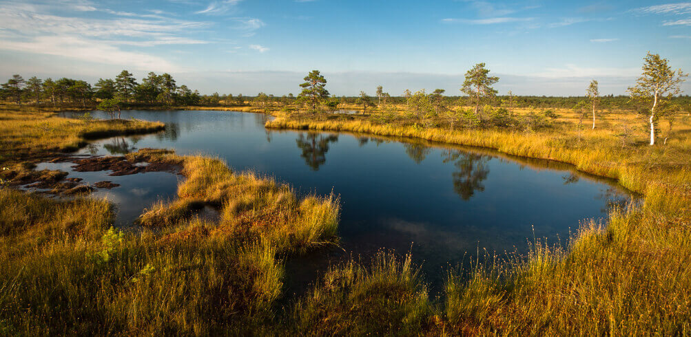Estonia country image