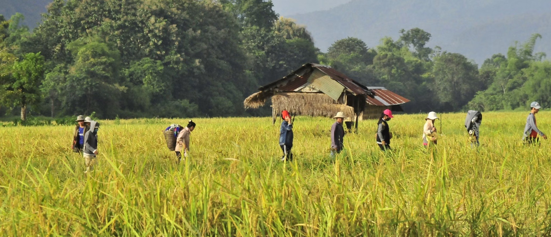 Laos country image