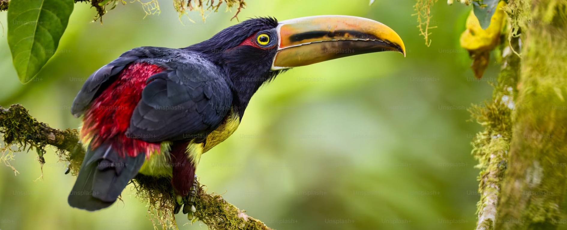 Ecuador country image